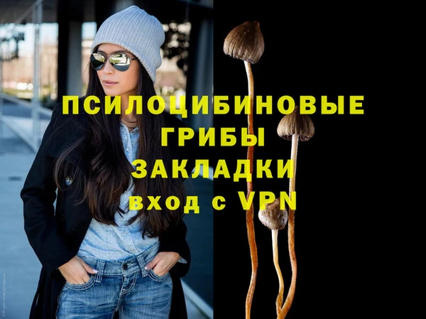 бошки Нефтегорск