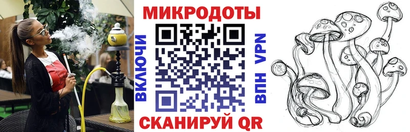 блэк спрут зеркало  Тайга  Псилоцибиновые грибы MAGIC MUSHROOMS 